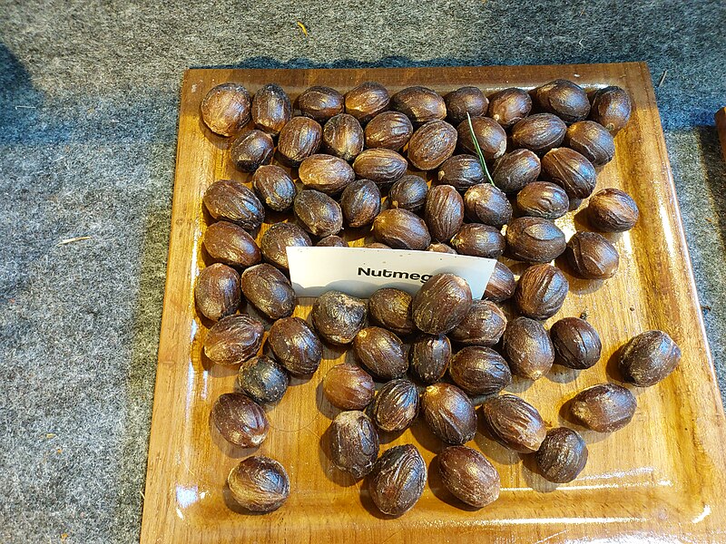 File:Nutmegs from Kerala 2023.jpg