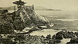 Cypress Point from Wintering In California by Charles Howard Shinn