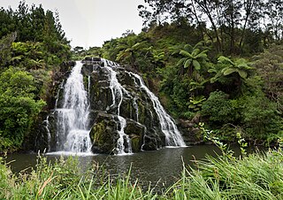 <span class="mw-page-title-main">Owharoa Falls</span> Waterfall in Waikato, New Zealand