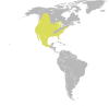 Oxyura jamaicensis distribution.svg