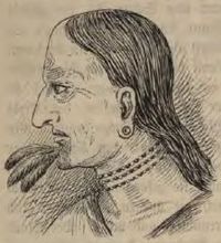 P. Florian Baucke, ein deutscher Missionär in Paraguay (1749 - 1768) b 034.JPG