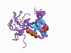 PDB 1d5g EBI.jpg