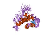 PDB 1h8b EBI.jpg