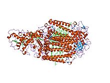 PDB 1prc EBI.jpg