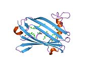 PDB 2af9 EBI.jpg