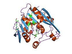 Thiopurine methyltransferase