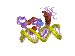 PDB 2ff0 EBI.png