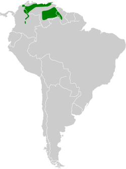 Distribución geográfica del ermitaño gris.