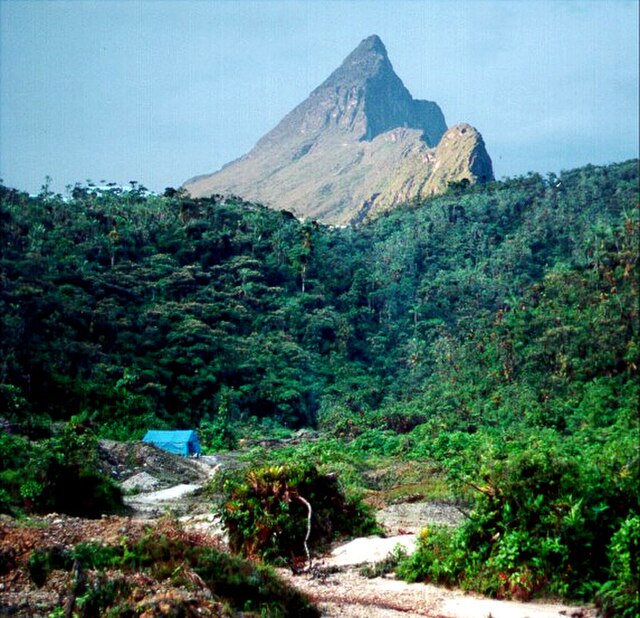 Pico da Neblina on the Brazil–Venezuela border. The Pico da Neblina National Park has a variety of ecosystems.