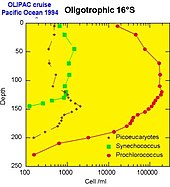 Vertical distribution of the photosynthetic picoplankton populations determined by flow cytometry in the tropical Pacific (OLIPAC cruise, 1994).