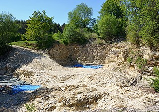 <span class="mw-page-title-main">Nusplingen Limestone</span> Geological Formation in Baden-Württemberg, Germany