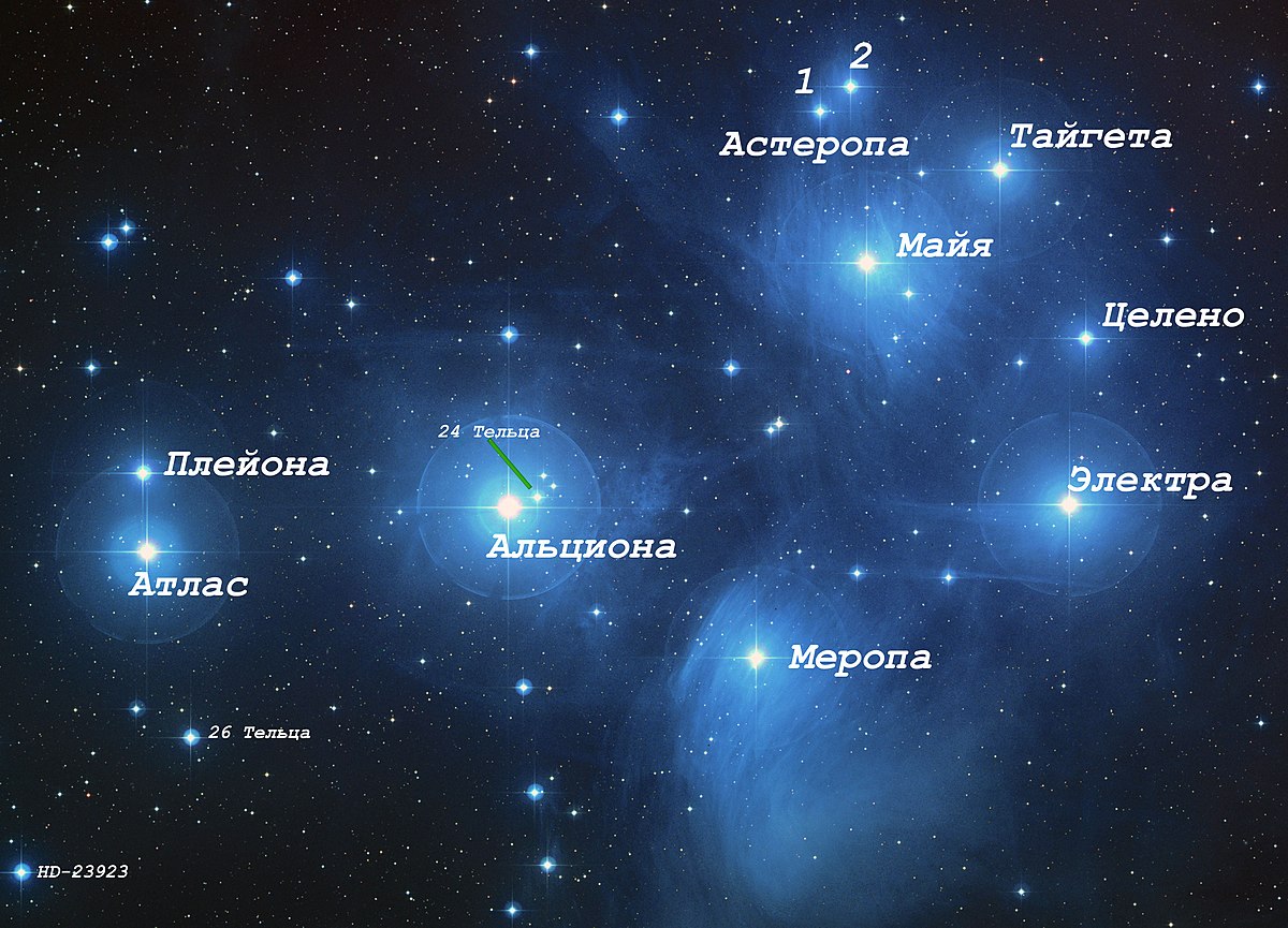 Созвездие Орион Фото По Точкам 2 Класс