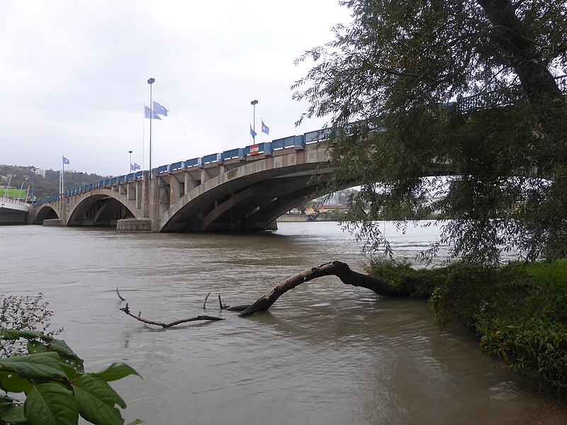 File:Pont Pasteur.jpg