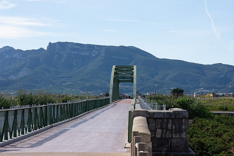 File:Pont de Ferro Alfons XIII 17.jpg