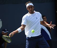 Potito Starace at the 2010 US Open 02.jpg