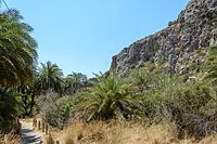 Trees and grass on Crete dried out by the August heat Preveli Palm Forest 02.JPG