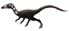 Procompsognathus.jpg