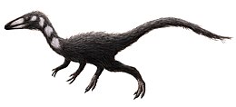 A Procompsognathus rekonstrukciója