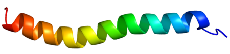 Urocortin