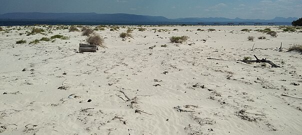 Ancienne dunes de Punta Arena