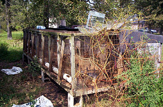 <span class="mw-page-title-main">Puppy mill</span> Type of commercial dog breeding facility