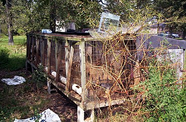 A puppy mill in the rural United States Puppy mill02.jpg