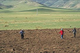 Aussaat in der Provinz Qinghai (2013)