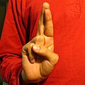 R, указательный и средний пальцы разогнуты и слегка скрещены, остальные пальцы сложены в кулак.