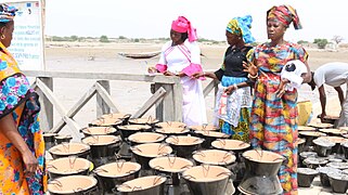 Dotation des fours améliorés dans les îles Saloum