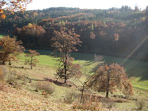 The Röglinger Valley near Liederberg