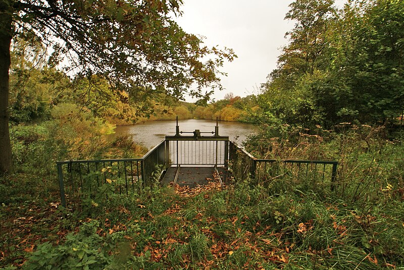 File:Rückhaltebecken der Susebek in Hamburg-Hummelsbüttel.jpg