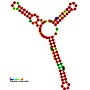 Thumbnail for Gammaretrovirus core encapsidation signal