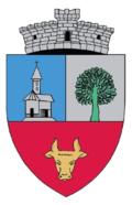 Sălciua Coat of Arms