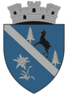 Byvåpenet til Vișeu de Sus