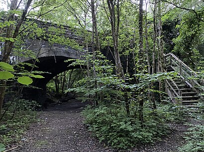 Railway arch leading from the site of the old Llandderfel Station.jpg