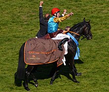 Derbysieger Weltstar mit Adrie de Vries in den Rennfarben des Gestüts Röttgen