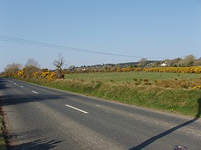 Jalan dekat Mullanour di samping padang rumput dan gorse - geograph.org.inggris - 1305275.jpg