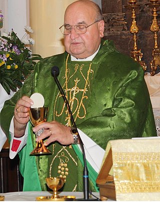 <span class="mw-page-title-main">Robert M. Nemkovich</span> Polish National Catholic primate