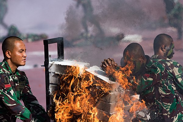 Kopassus commandos are trained in multiple martial arts and self defense knowledge. Shown here are Kopassus commandos demonstrating Merpati Putih