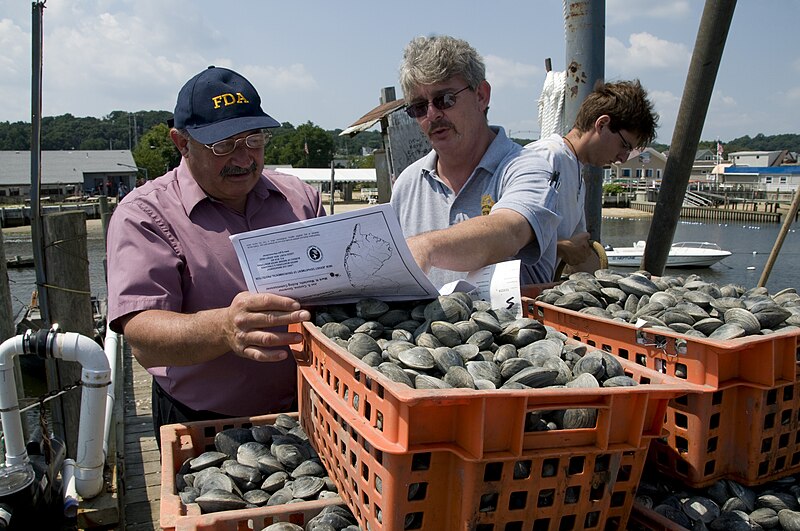 File:Safe Shellfish (4496) (4493305743).jpg