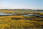 Salt-marsh Bosham 5.2.2003.jpg
