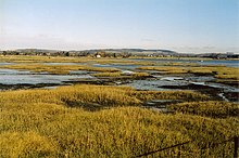 Salt-marsh Bosham 5.2.2003.jpg