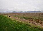 Thumbnail for File:Salt marshes between Blackrock and Dundalk - geograph.org.uk - 6089184.jpg