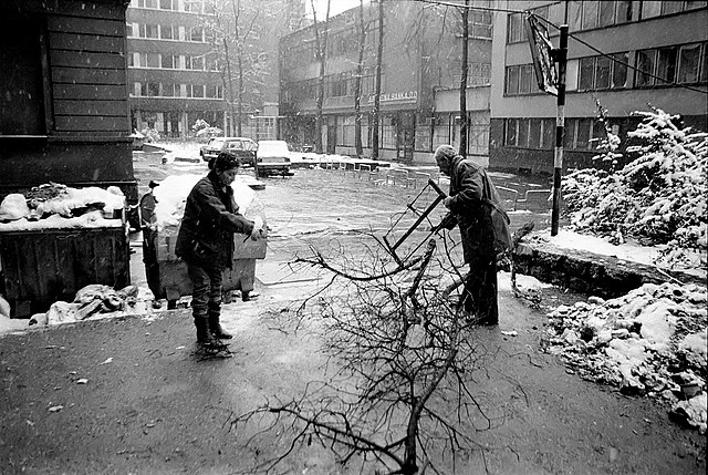 Sarajevo residents collecting firewood, winter of 1992–1993