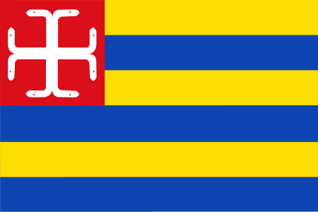 Schinnen vlag