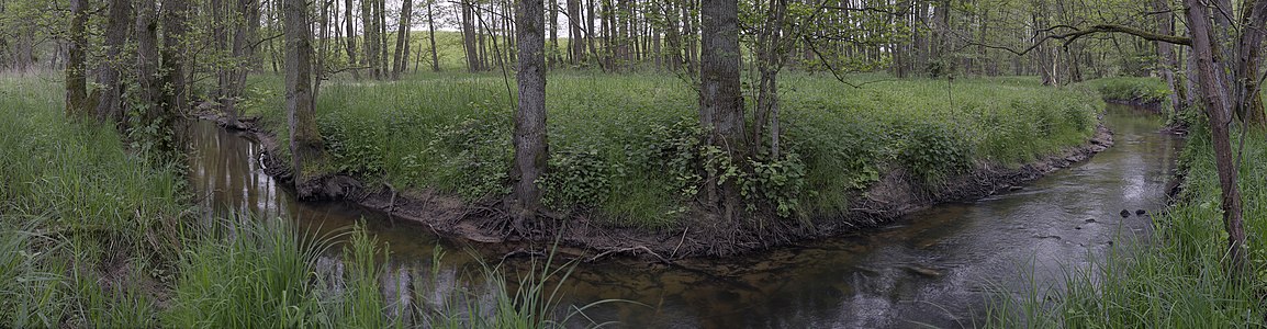 Naturschutzgebiet - Schwingetal und Peenewiesen bei Trantow