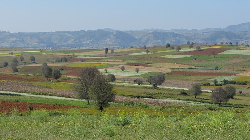 File:Shan Hills, Myanmar, Panoramic landscape with trees and paddy fields, remote and rural Myanmar, Karen Hills.jpg