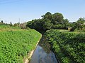 新堀排水路 (埼玉県)のサムネイル