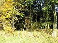 Thumbnail for File:Shooting platform in Shortgrove Wood - geograph.org.uk - 5188944.jpg