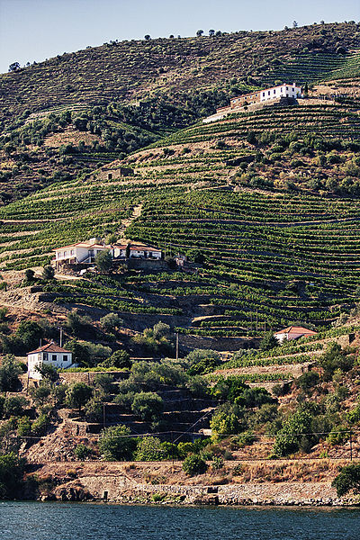 File:Sobre o Douro.jpg